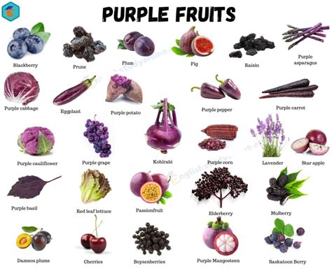 Purple Fruits betsul